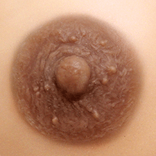 Divine Collection Aphrodite Breast Forms (pair)
